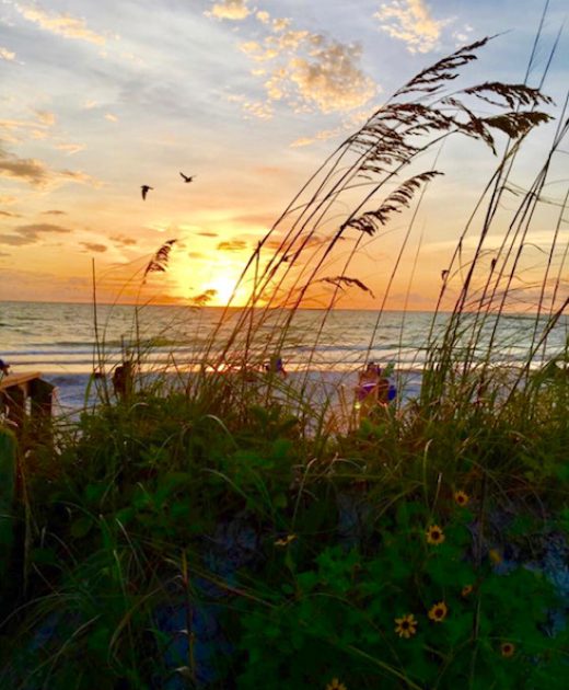 Beautiful-Beaches-Lifestyle-Realtor-Carl-Galler